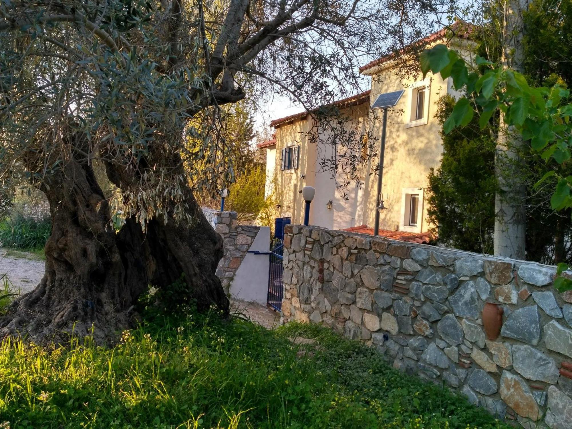 9 Musses Hotel Apartments Skala Mistegnon Exterior foto
